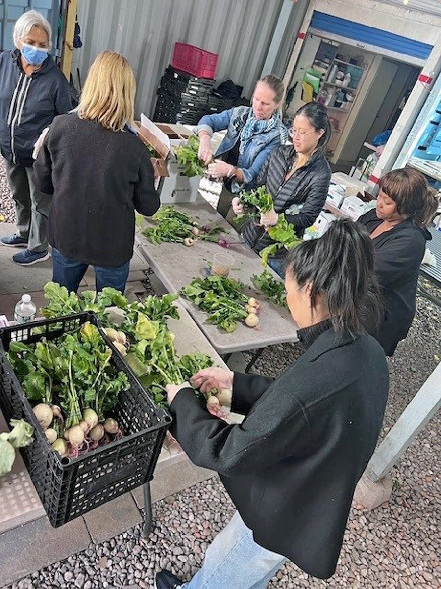 NY-Connected-Chef-5s